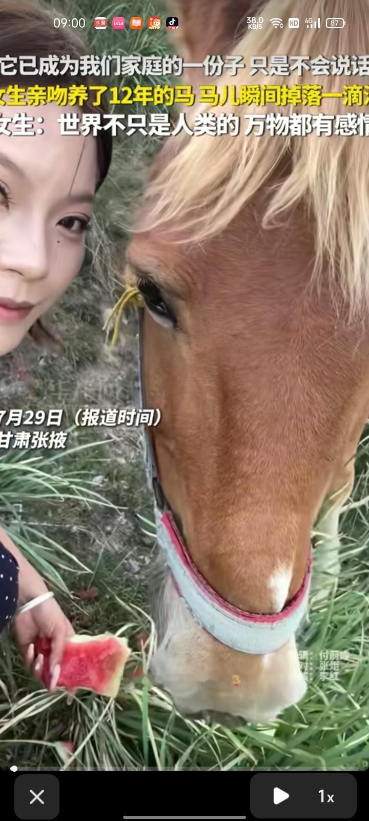 7月25日，张掖市肃南县。女生亲吻养了12年的马，马儿瞬间掉落一滴泪，看得出两者