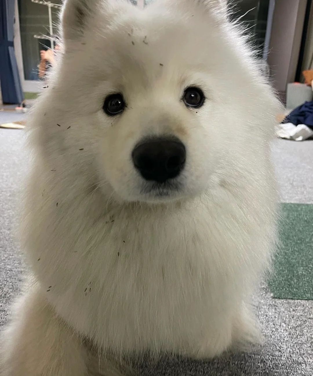 宝宝，你的脚脚藏哪儿去了