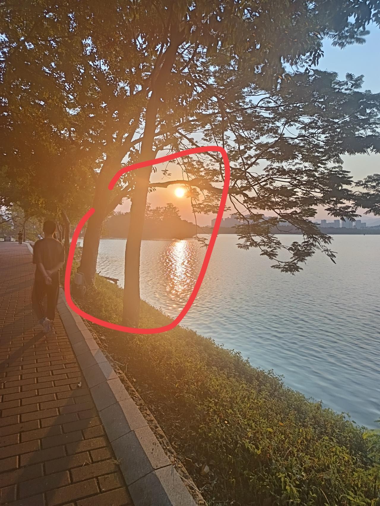 我终于知道了
为什么肇庆的7间风景区虽然评为5A级风景区
夕阳却依然这么好看

