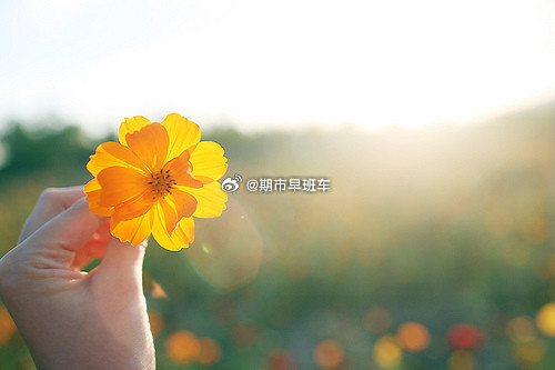 1.15期货商品早间评论！昨日期指进入宽幅洗盘，日内观察反弹修复表现。1、黑色板