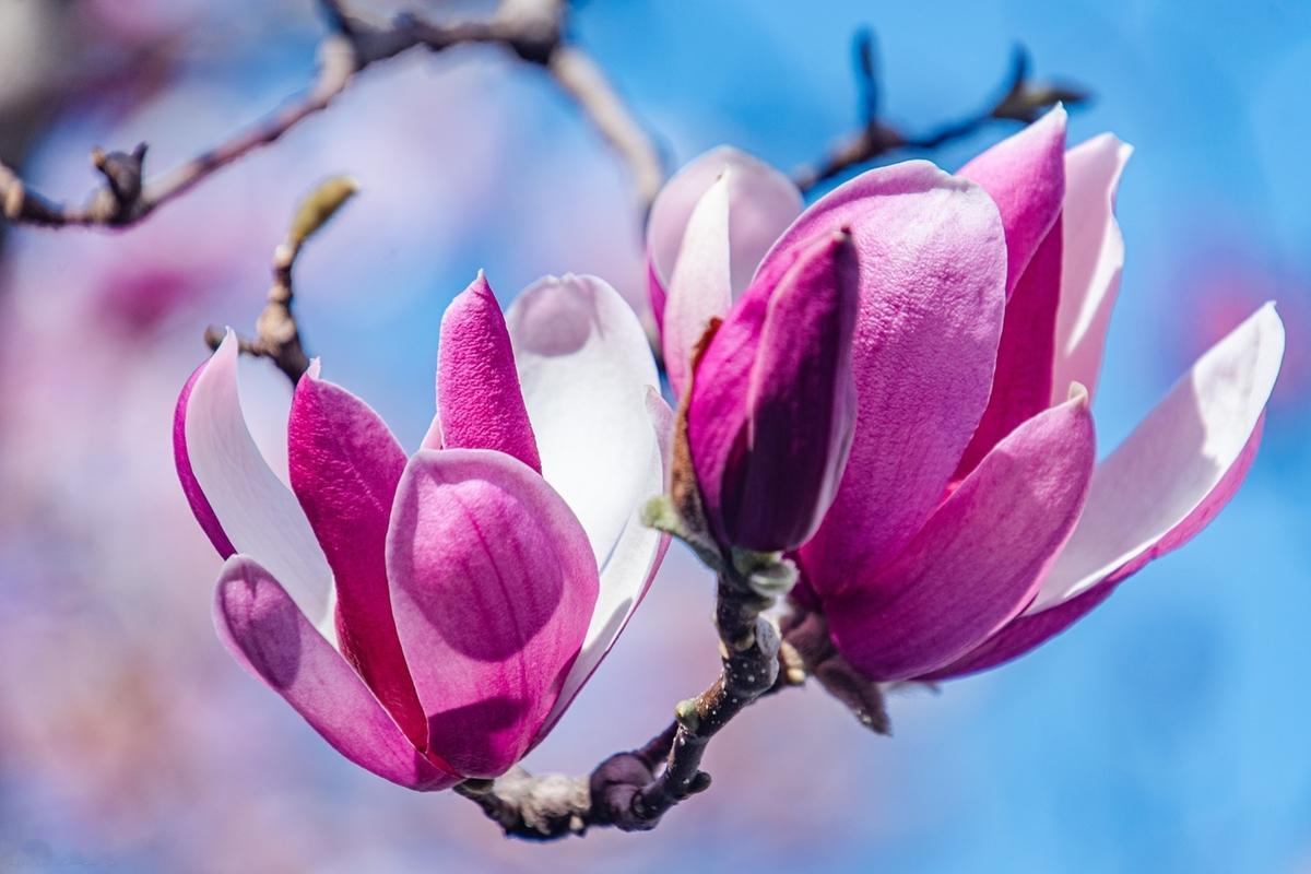 过度考虑别人的感受，是一种对自己的不认同。当每做一件事都在考虑“别人怎么看”时，