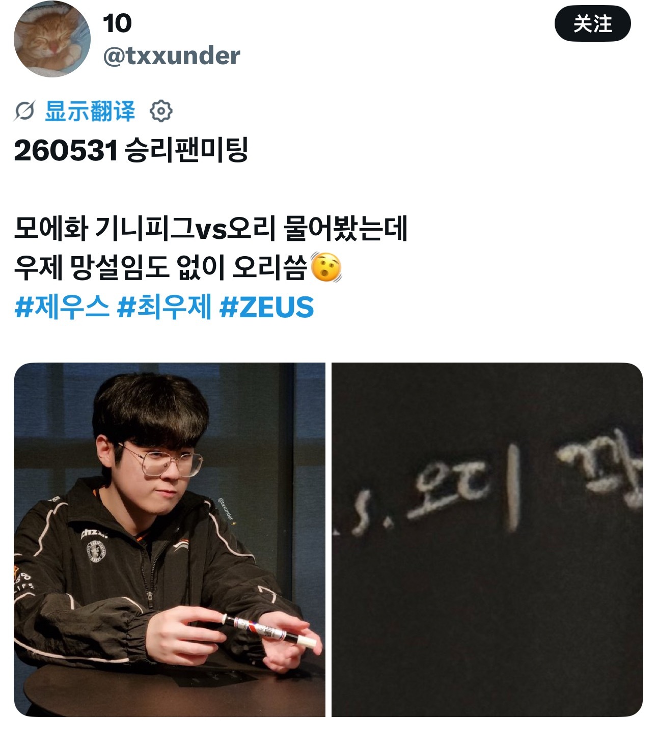 毫不犹豫的在 天竺鼠vs鸭子 中选了鸭子