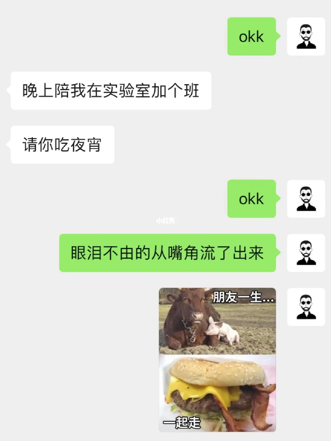 科研人的嘴贱片段