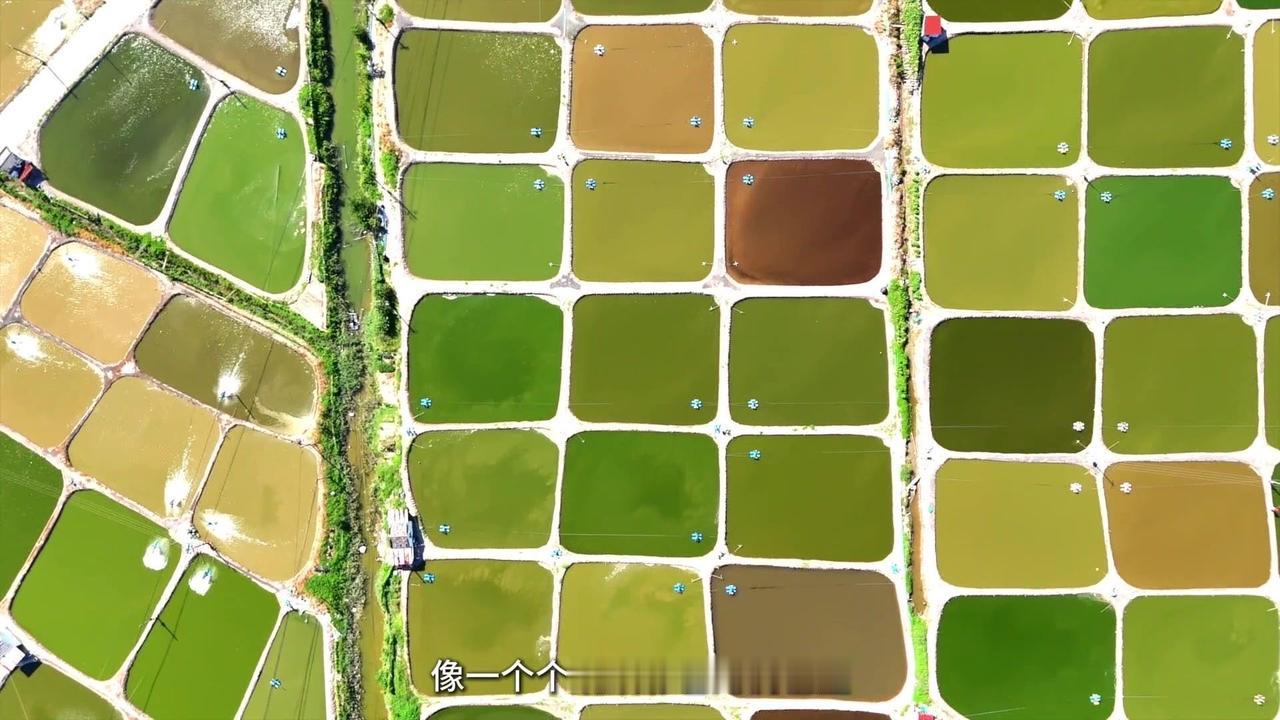 🌿位置：咸祥乐家村。

🚚导航搜索乐家村目的地附近，找到合适的位置就可以起飞