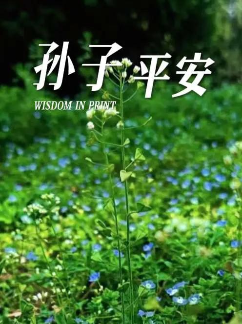 孙子平平安安。谁知道这是什么 随手一拍都是美景 风景摄影 你们家乡也有这种植物吗