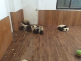 江蕨爱聊社会