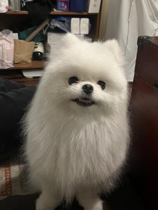 可以祝我生日快乐吗
