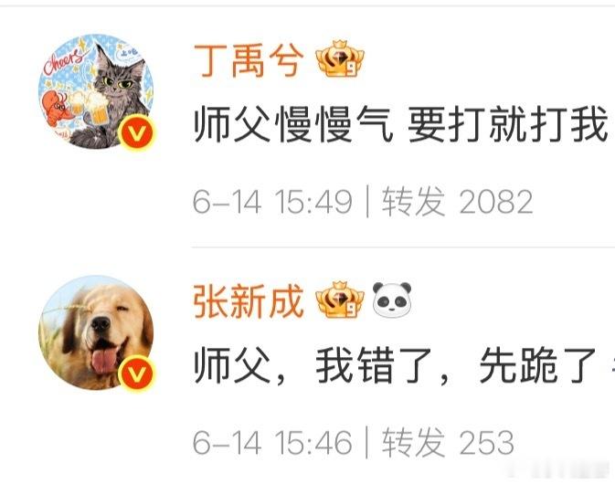 南部档案这两只也太可爱了