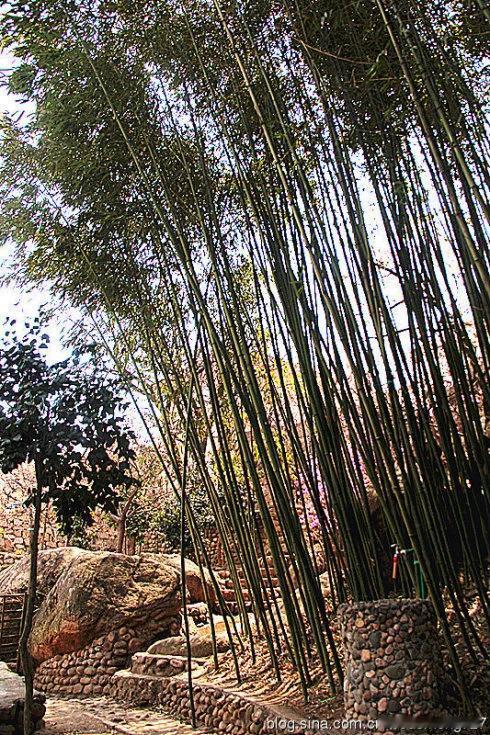 #青岛小伙勇救落水母子 生命定格在36岁#王铎观点：青岛人的性格和骄傲！
看了5