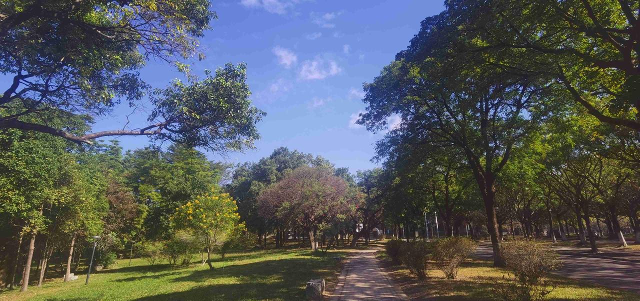 我的今日状态：😁轻松愉快
我这里的天气：☀️晴天