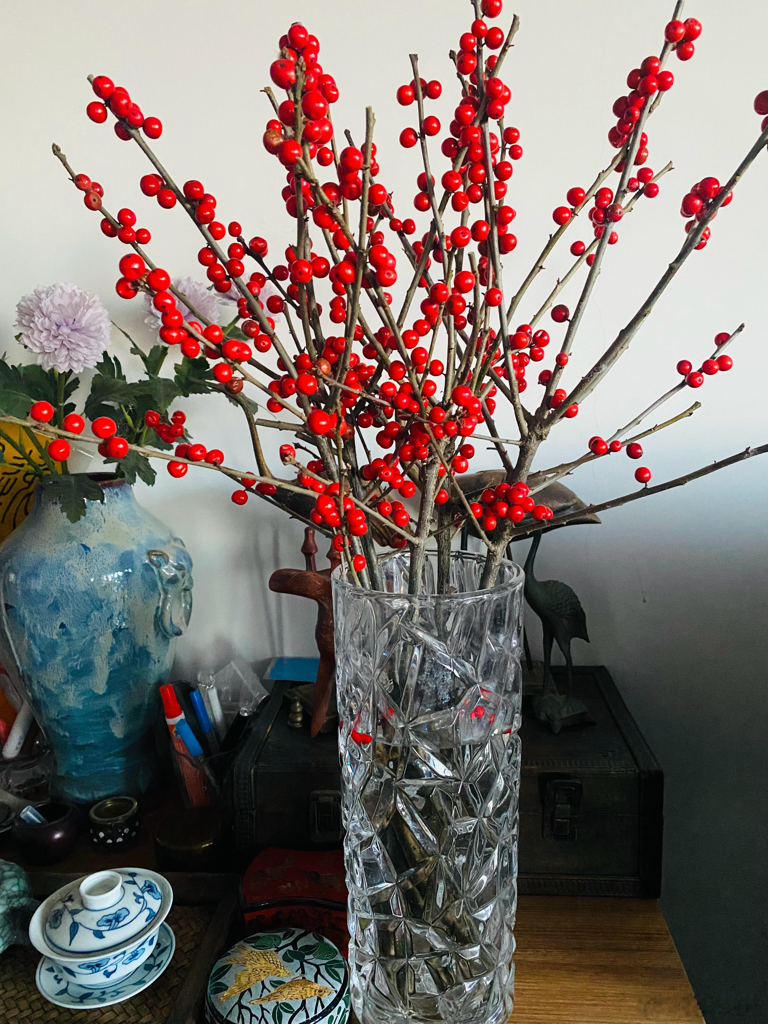 愿倪安好生活手记 本来想去卧佛寺观赏腊梅， 可是天冷懒得跑那么远， 买来一束腊梅