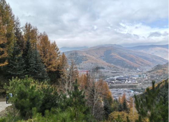 美国现在很难，当然，大家都难，但是有的是难在短周期的战术层面，而美国却是难在长周