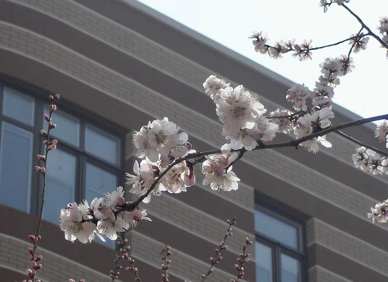 海的尽头是冰箱🫥。花开富贵好运来 intp