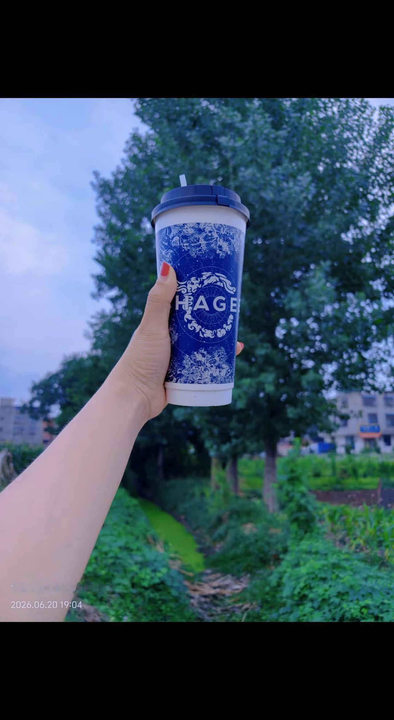 如果不是为了生活与责任，或许每个人都 能是“自由的鸟，可长大孤单得没有偏旁，自由