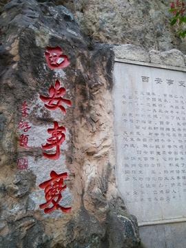 西安事变的真相：改变中国历史的12天

1936年12月12日，西安城内发生了一