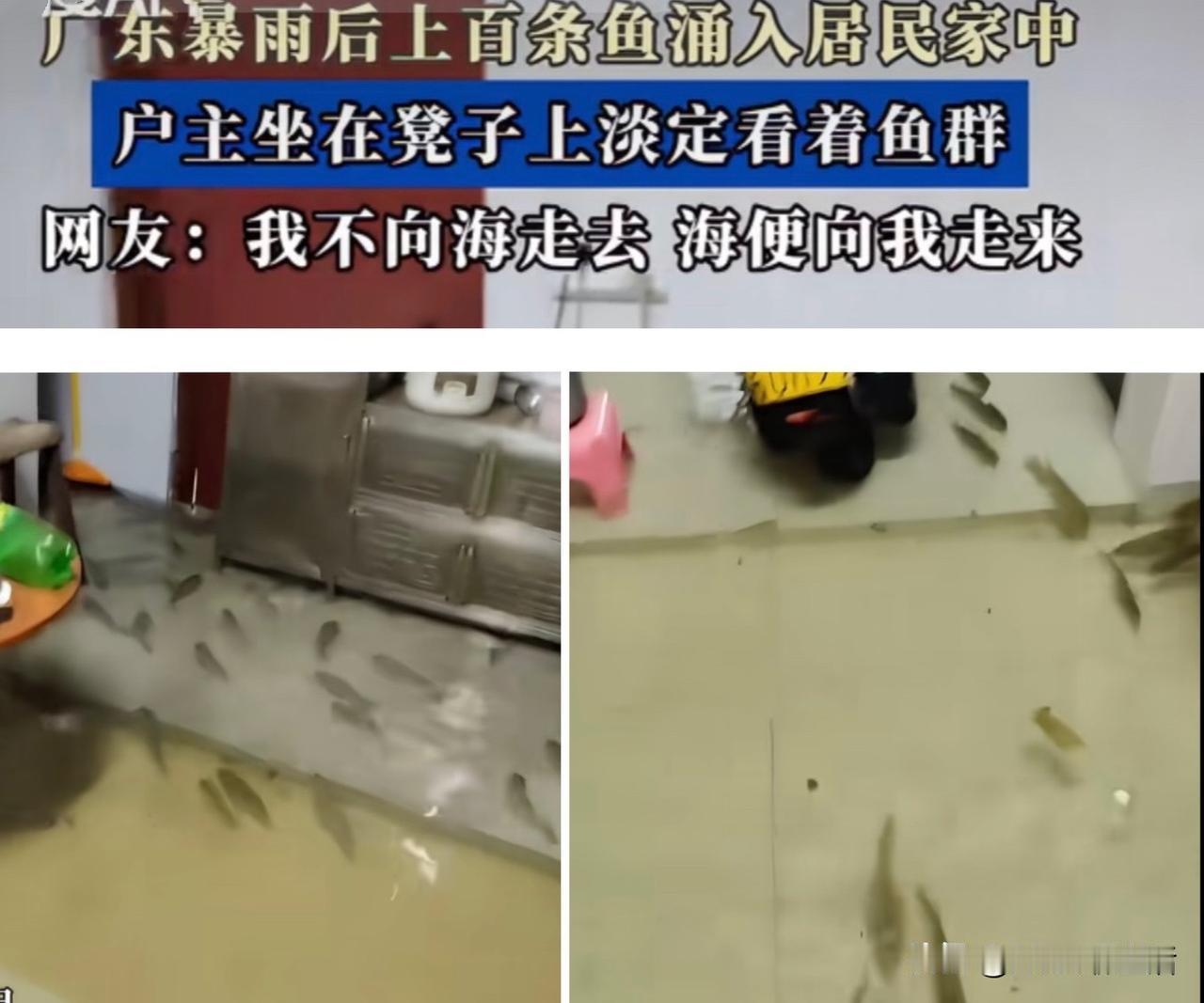 广东这波暴雨真是绝了！别人家里进水愁得睡不着，这位老哥家里进水，却直接开启了“躺