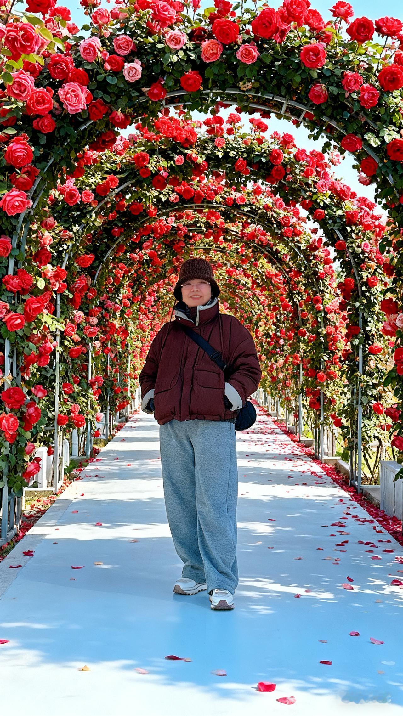 花的世界真的很美 观赏花卉 哈哈娱乐一下😂😂😂
