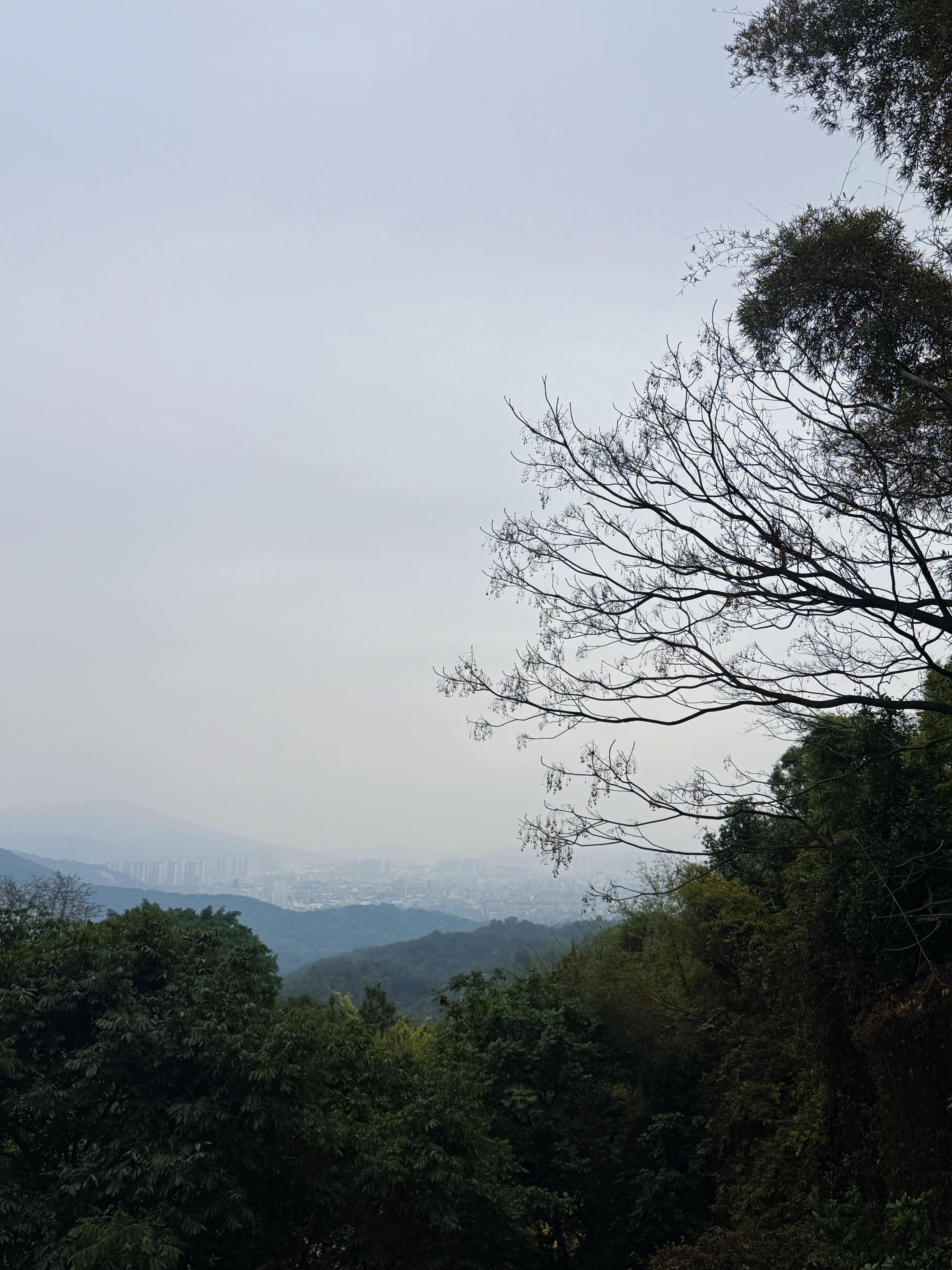 如愿🙏 潮州·别峰古寺