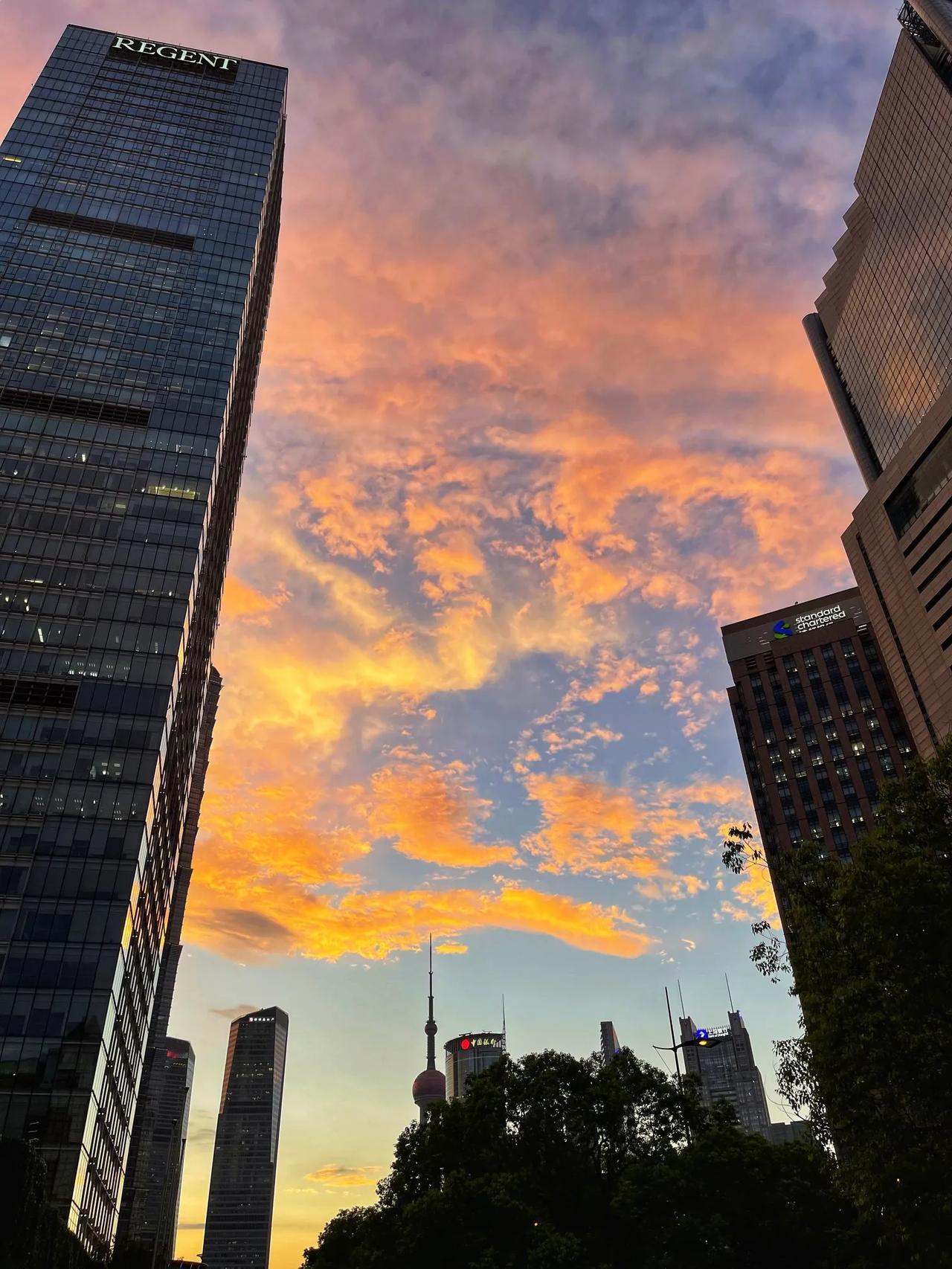 那日黄昏，魔都的天空有许多大橘猫在跳舞。