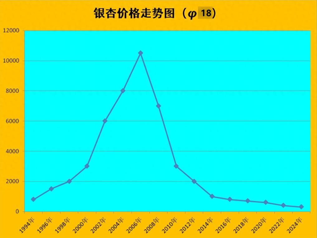 如果，你在2011年有15亩φ25cm的银杏，你的身家至少1000万！当年这规格