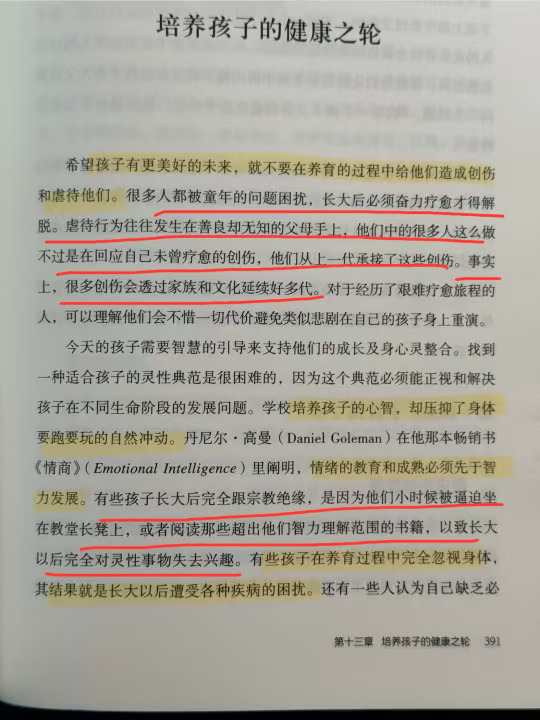 儿童：情绪的教育和成熟必须先于智力发展。