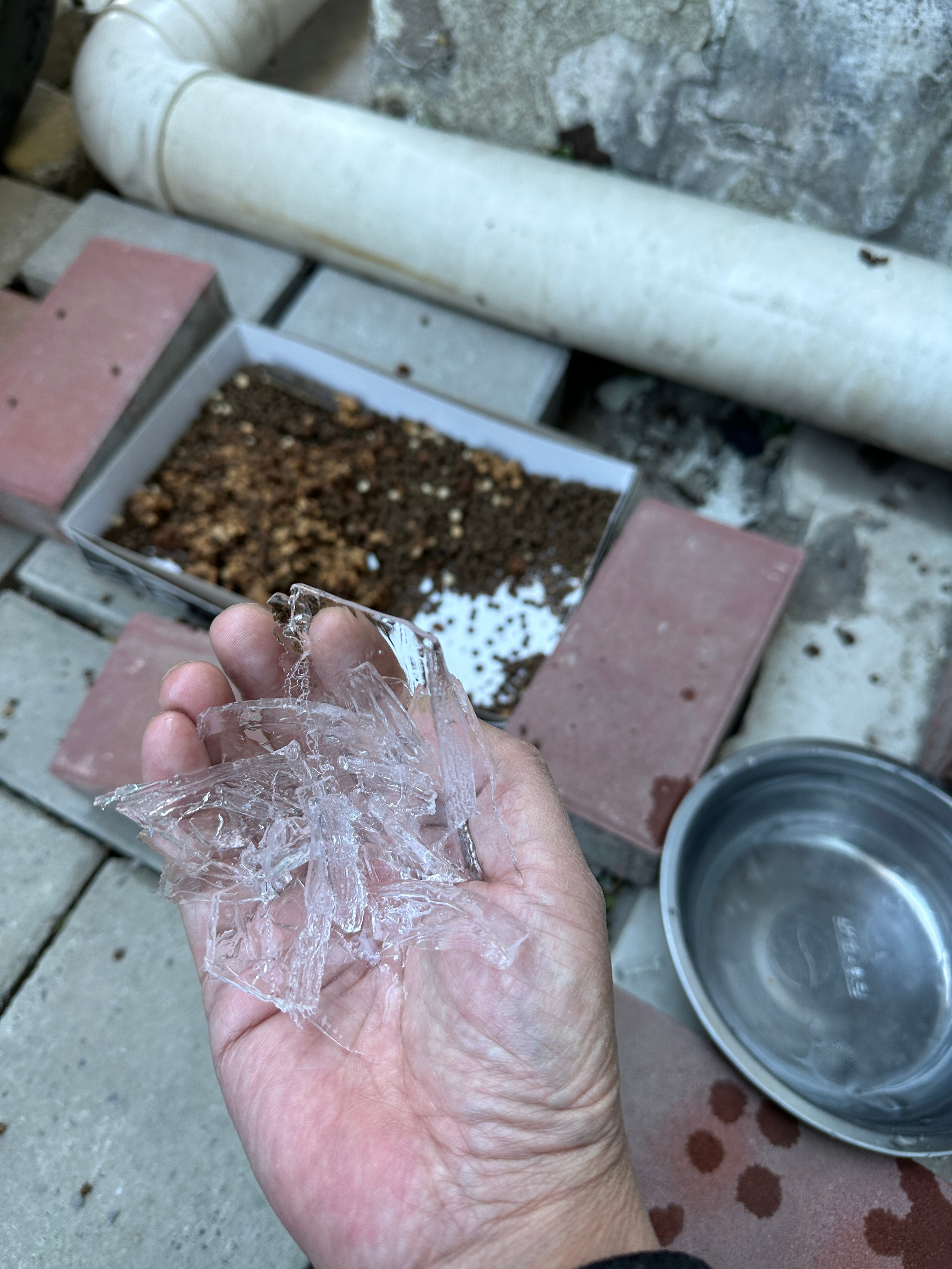 冬天流浪猫最困难的就是喝不到水，新换的水一个小时就冻上了…… ​​​