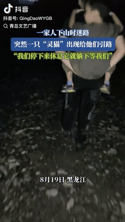 “太有灵性了！”黑龙江，一家人傍晚去爬山，不料下山却迷了路，正崩溃时，前面突然窜