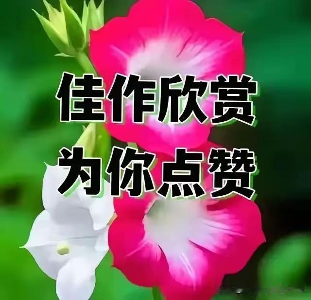 [比心][比心][比心][比心][比心][比心]