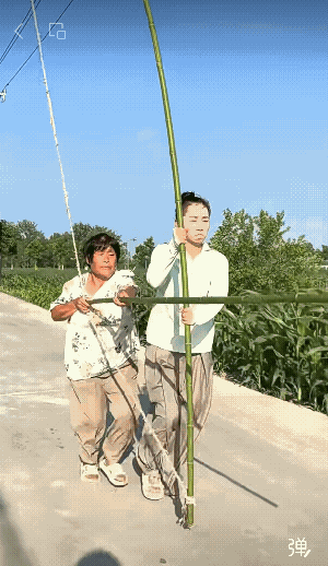 架式很酷!