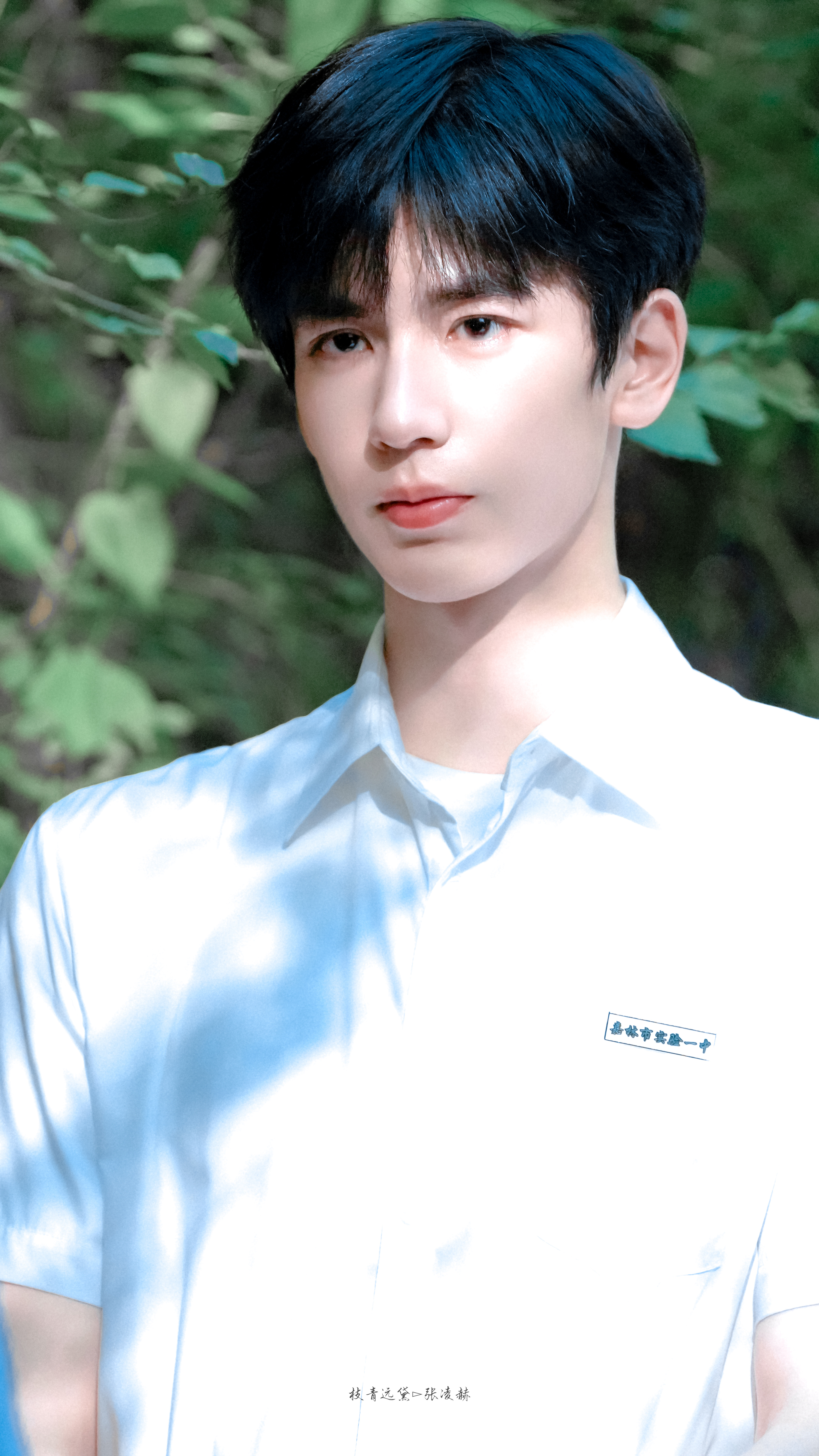 张凌赫/蒋峤西🍃张凌赫樱桃琥珀 ​​​