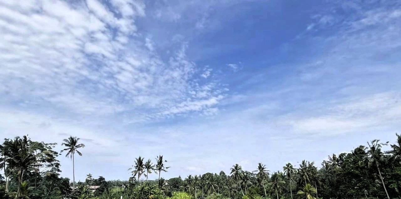 蓝蓝的天上白云飘白云下面马儿跑，挥动鞭儿响四方百鸟齐飞翔