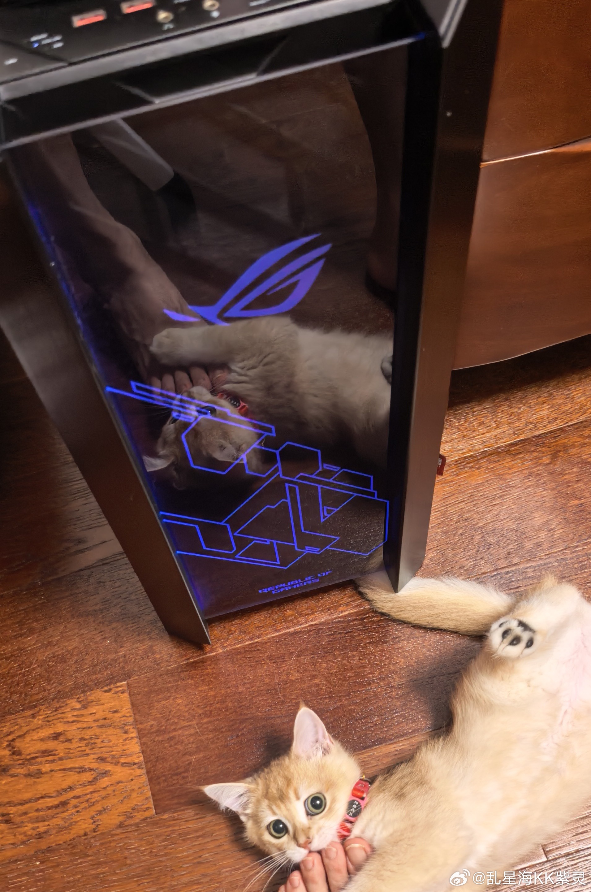 rog 主机用久了，彩色灯变单色了 ​​​