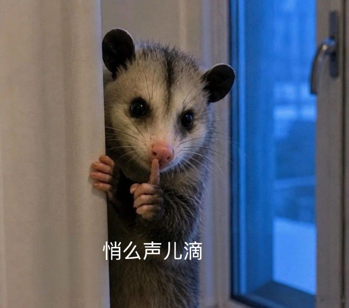 已经在和许多00后一起玩了（97、98年的已经不稀奇了）。并暗中打听对方母亲的年