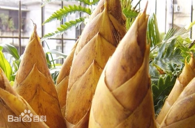 说美国人满街大胖子，这是美国社会衰落的一个重要标志，这是阶级的重要划分，同时这也