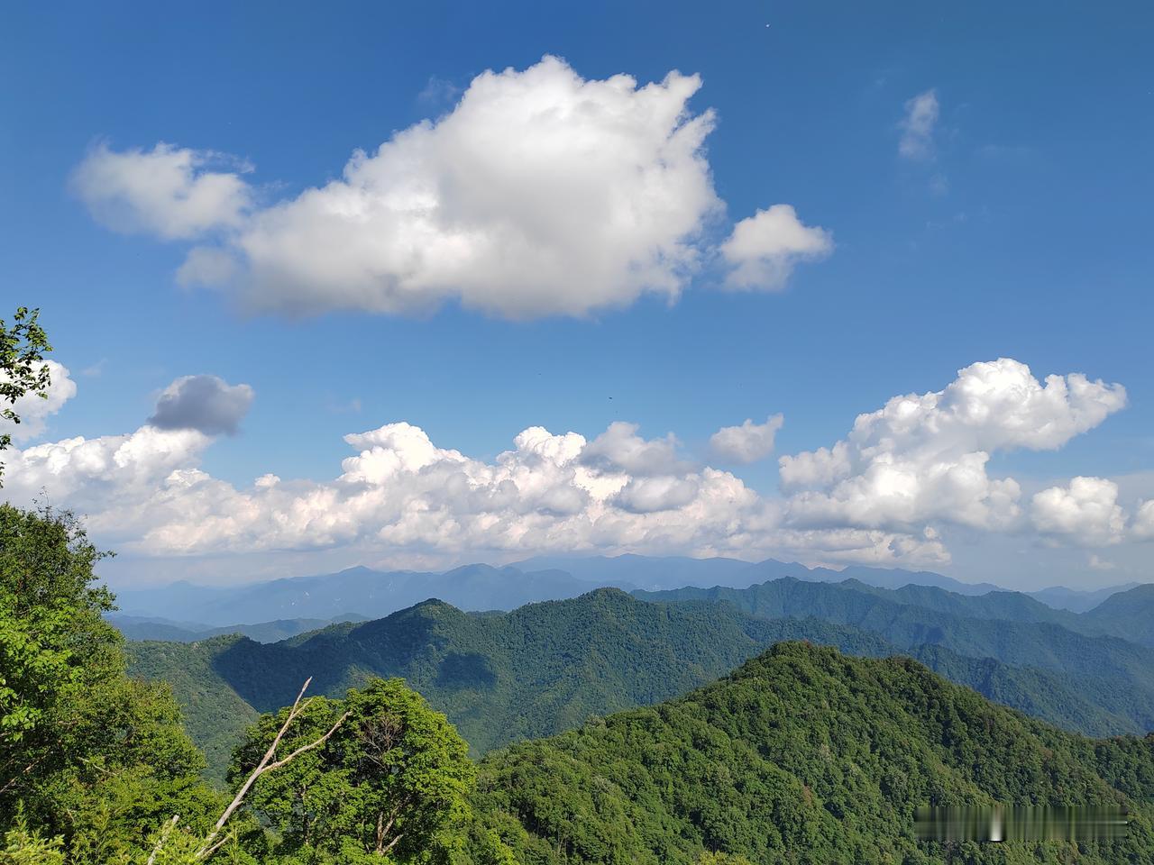 总要自驾穿越一趟秦岭，那太洋公路绝对是秦岭自驾环线不可忽视的存在，它北起宝鸡太白