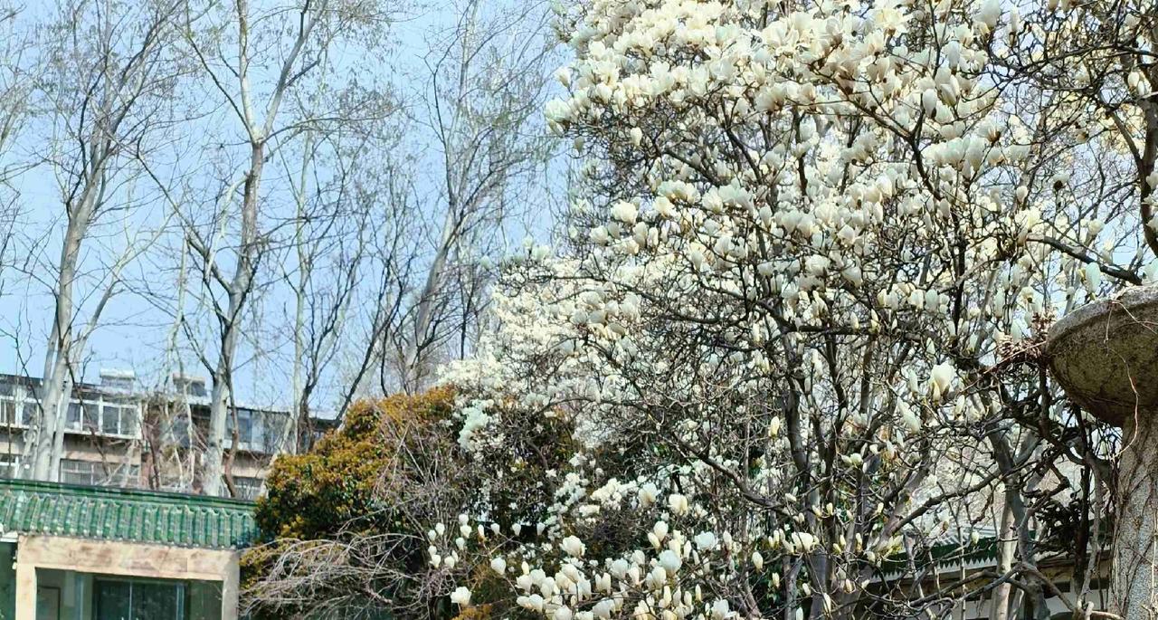 我的今日状态：😁轻松愉快
我这里的天气：☀️晴天