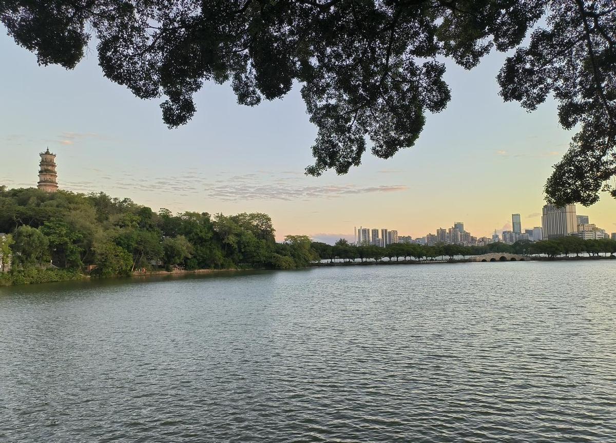 东江河开渔了，女婿一杆下去，十条鱼上岸。
不是渔霸，是生活给了他一个安静的反击。