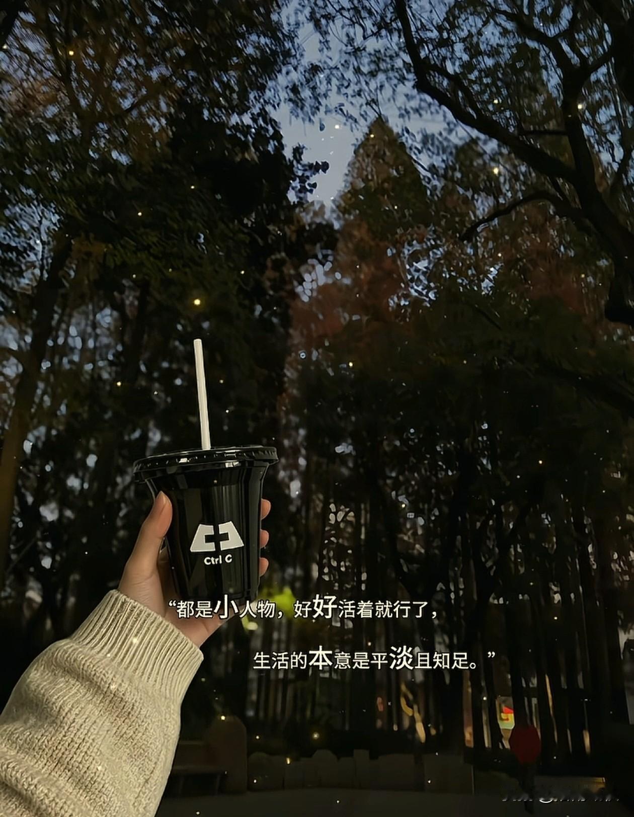 🌸˚⊹ ✧じòve ゛～

    都是小人物，
         好好活着就