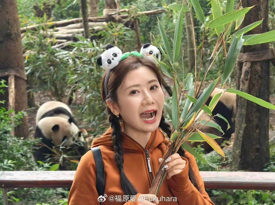 福原爱的育儿观福原爱自曝反对自己的孩子打球 原来成为妈妈之后，连曾经熟悉的乒乓球