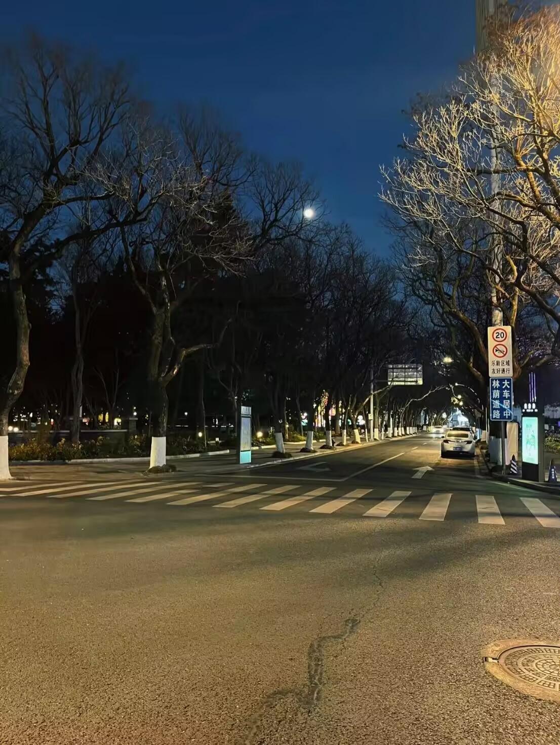 3月1号，退税开始了。钱不会自己跑到你卡里。
你得打开那个蓝色的个人所得税APP