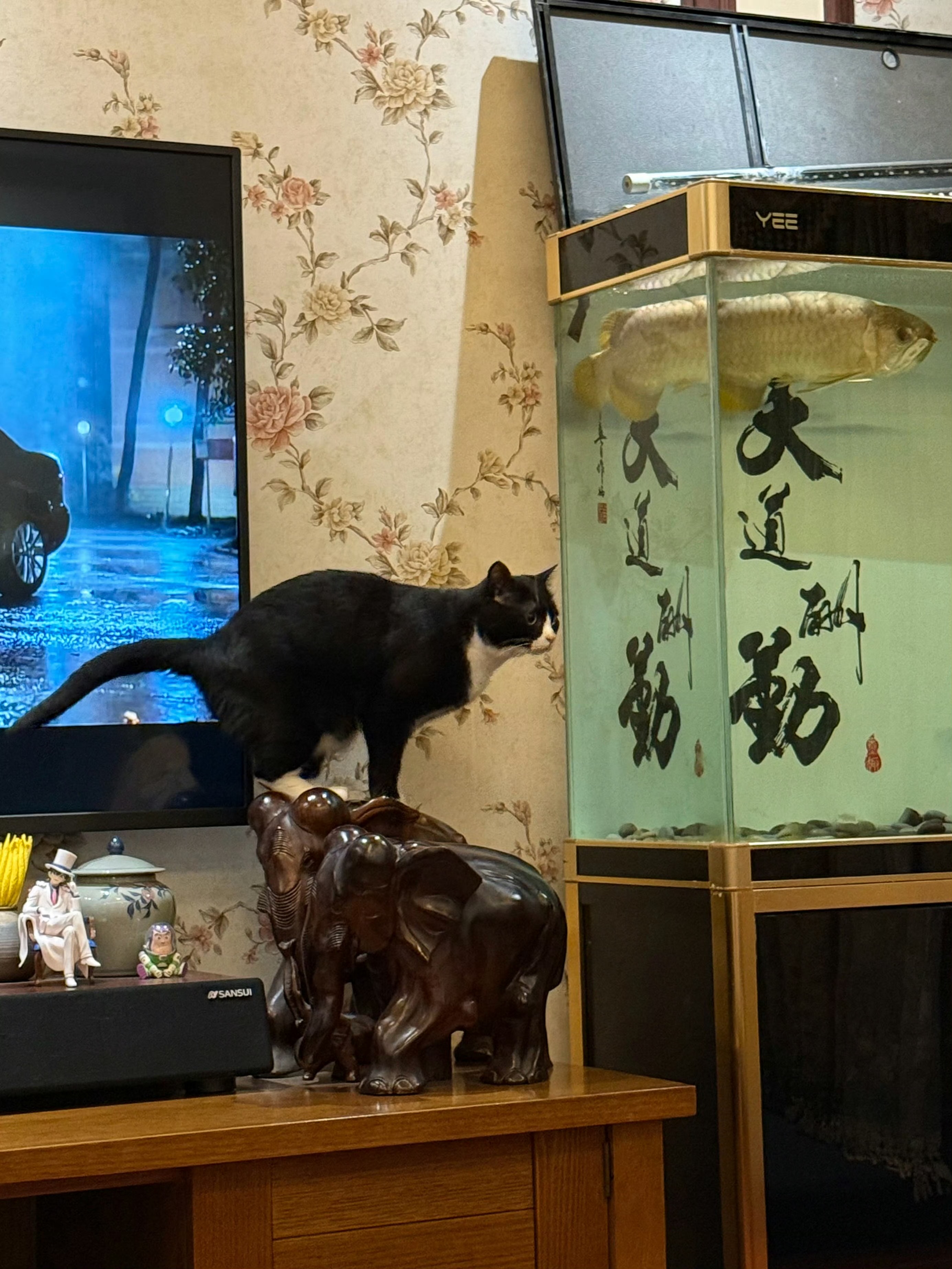 它俩一个姿势