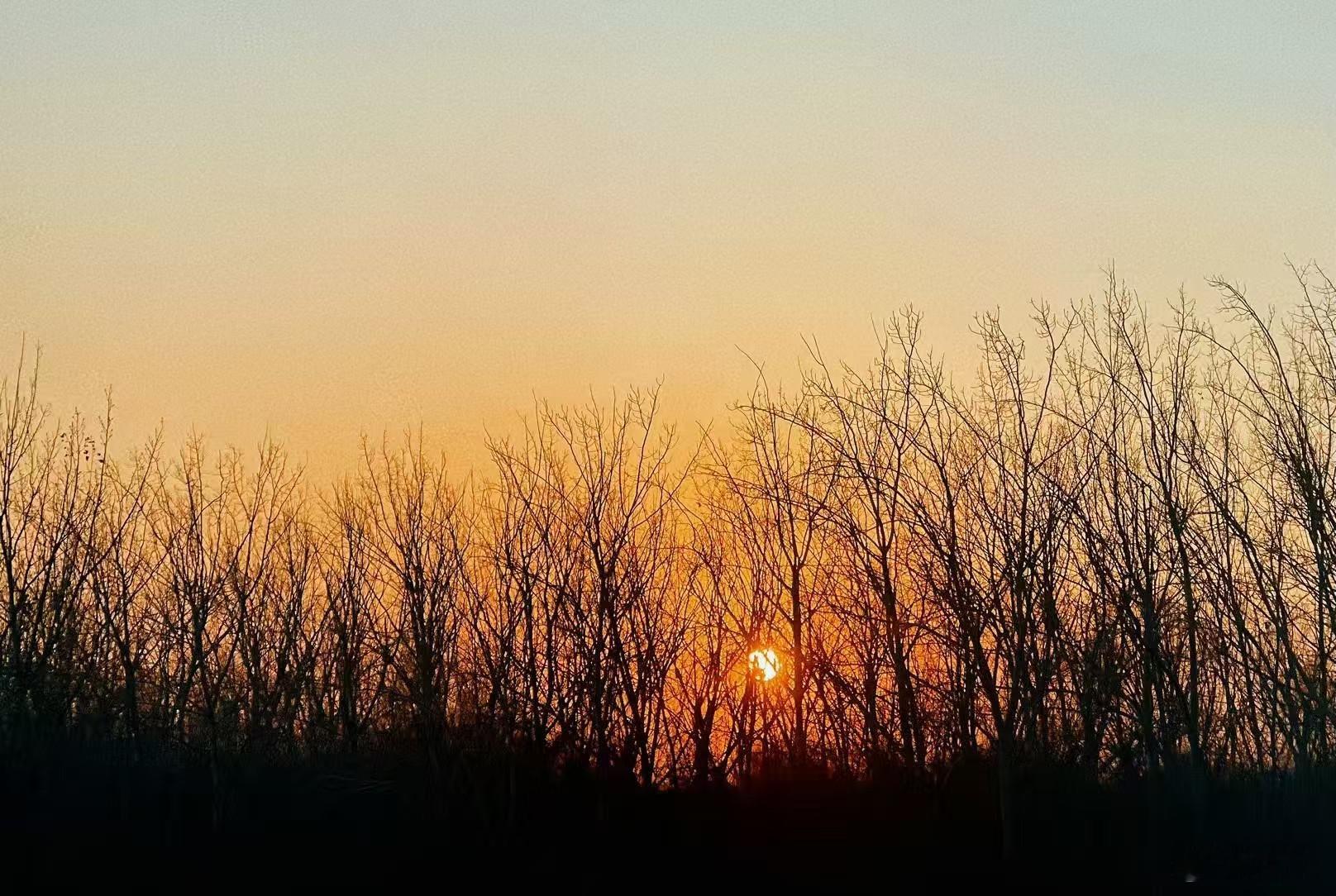 今天翻红了有一种不真实的美 