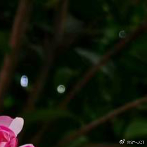 每日一善每日一善 当一个人使劲踮起脚尖，靠近太阳的时候，全世界都抵不住他的光芒。