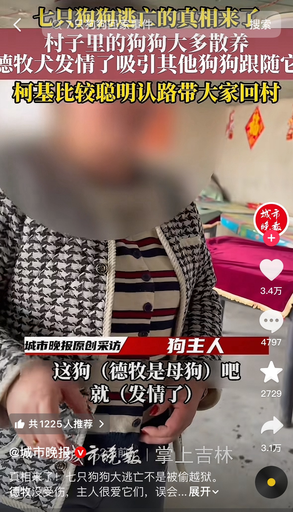 7只小狗结伴 励志片变爱情片哈哈哈笑疯了。网友给7只小狗脑补了一出被偷越狱的大戏