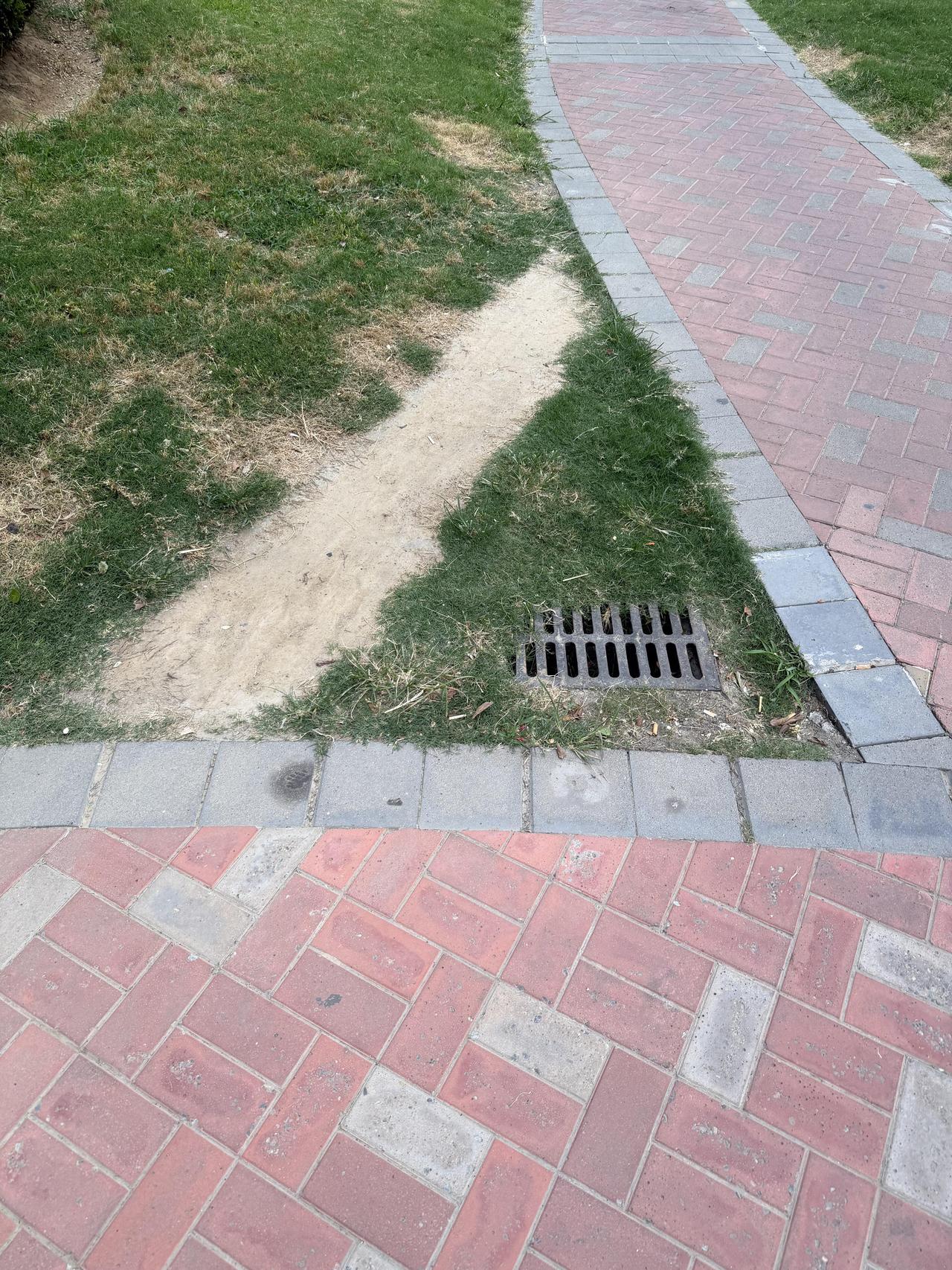 就这点路为什么还要绕近道🤔