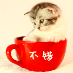 #多地学校换上了可躺式课桌椅#我是老师！我曾多次提议普及，总算落入仪式议程了！?