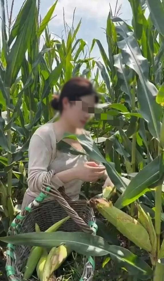 太荒唐！河北安国一男子在麦田边搭讪女邻居，两人进入小树林发生关系，谁知女邻居直接
