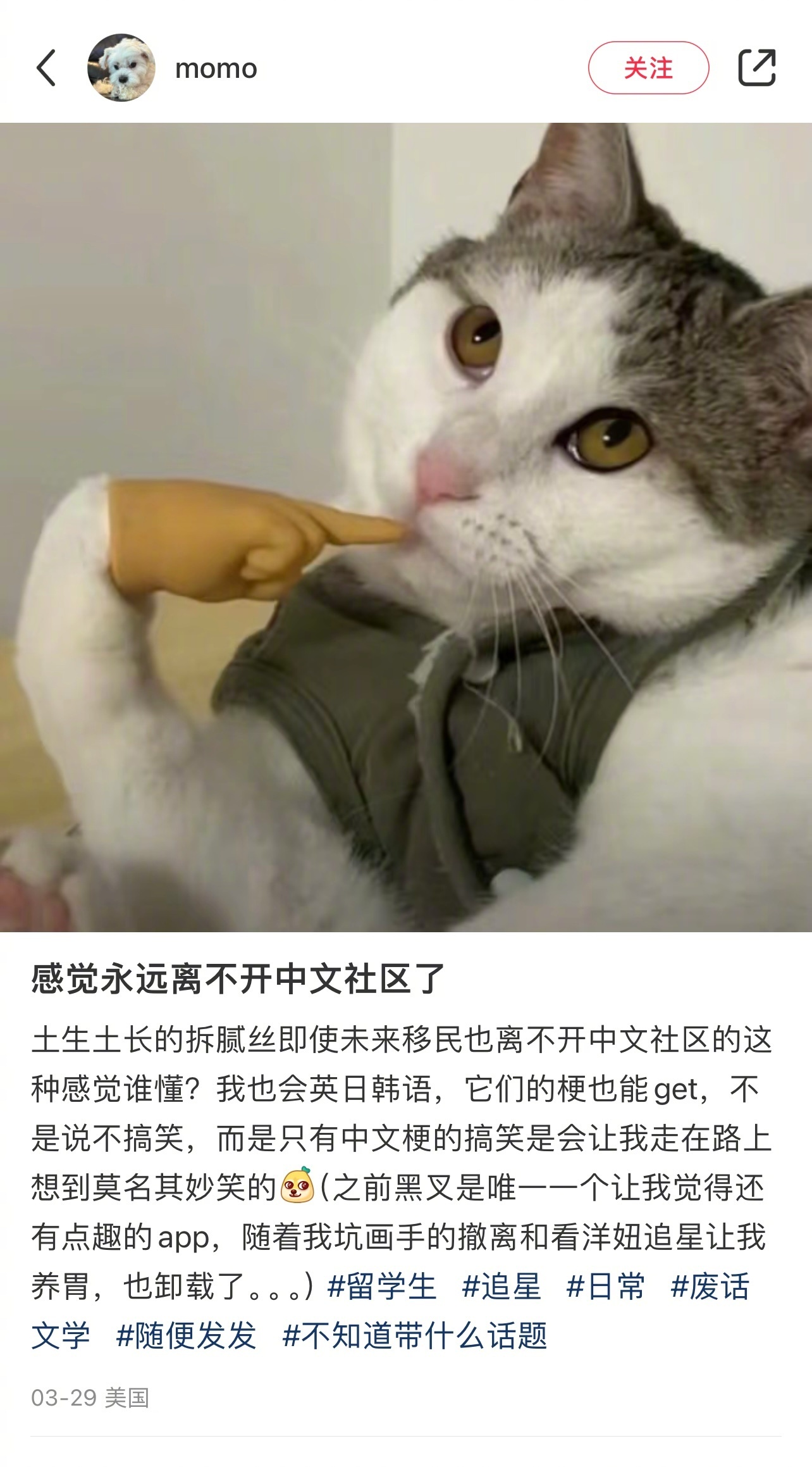 论造梗，还得是看中国人哈哈哈哈哈哈 ​ ​​​