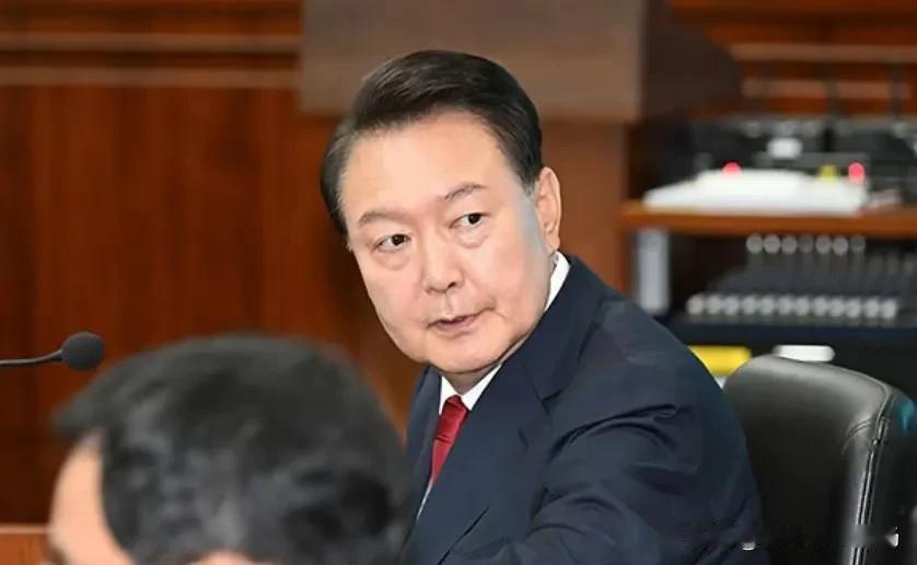 尹锡悦的天都塌了！韩国大选激烈开幕，遥遥领先的李在明立志报仇。


近期，韩国总