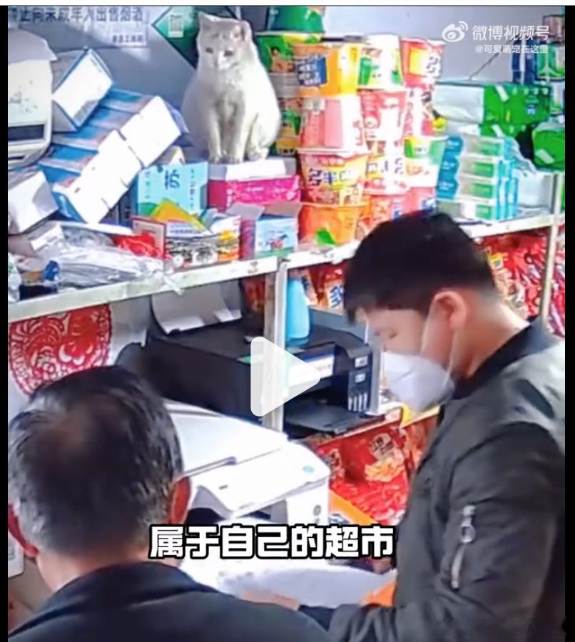 爱直接对嘴喝饮料的人天塌了 就是饮料罐口、瓶口很脏，污染源可能是店家养的猫、犬，
